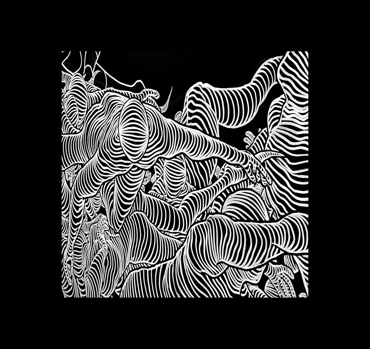 Tottumiskysymys - Live at Toinen Kerros (NCT028)